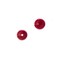 Earth's Jewel 8" Bamboo Coral Natural Dyed Semi-Precious Round Strung Bead